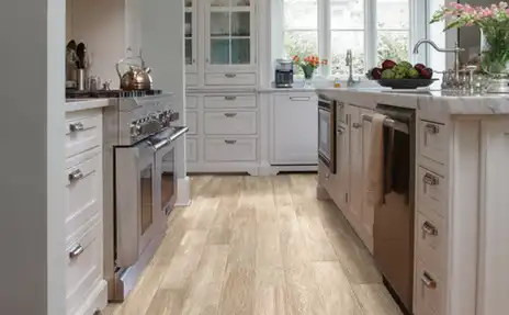 Bellterra Tile in kitchen